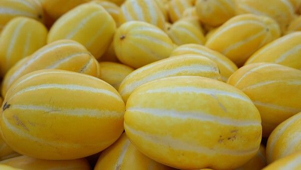 참외 자료 사진. /&nbsp;JW Company-shutterstock.com