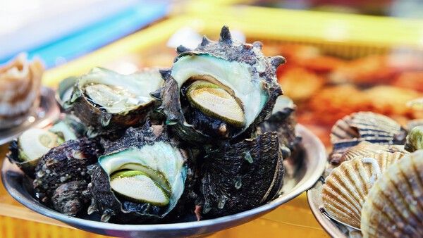 뿔소라 자료 사진. /&nbsp;Roman Babakin-shutterstock.com