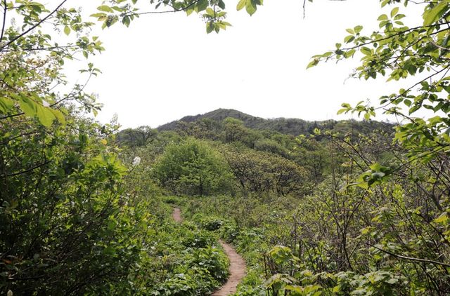 계방산. / 국립공원공단 공식 블로그