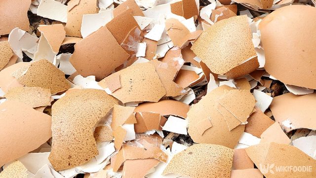 달걀 껍데기 자료 사진. /&nbsp;Yuphayao Pooh's -shutterstock.com