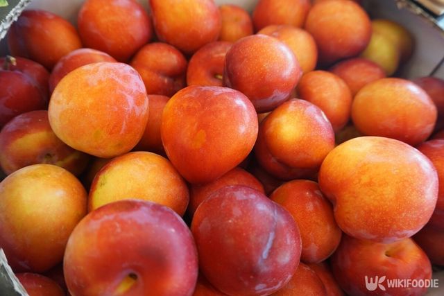 기사의 이해를 돕기 위한 이미지. / S.S.PARK-shutterstock.com