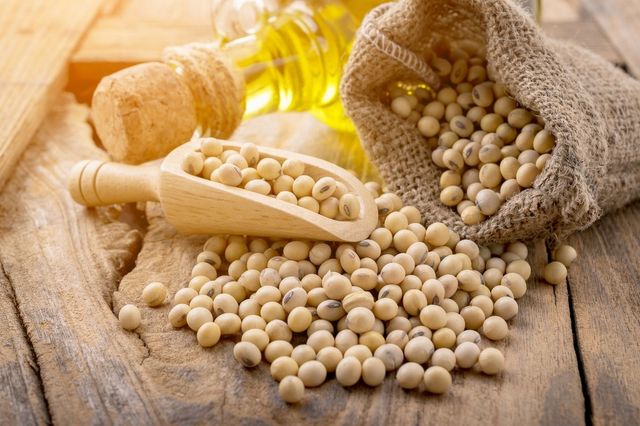 콩 기름 사진. / Aedka Studio-shutterstock.com
