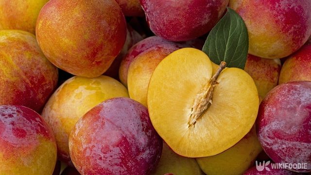 자두 자료사진. / Stock for you-shutterstock.com