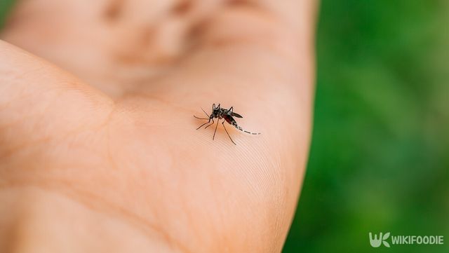 해당 이미지는 기사 이해를 돕기 위해 AI로 재연하였습니다. / 위키푸디