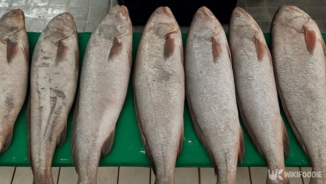 해당 이미지는 기사 이해를 돕기 위해 AI로 재연하였습니다. / 위키푸디