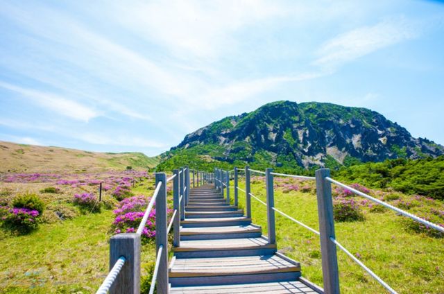 한라산 영실 코스. / 국립공원공단 공식 블로그