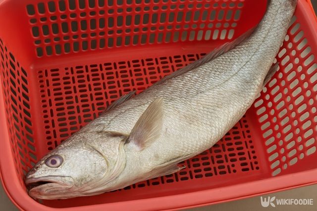 해당 이미지는 기사 이해를 돕기 위해 AI로 재연하였습니다. / 위키푸디