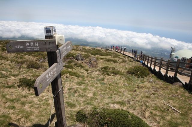 한라산 성판악 원점회귀 코스. / 국립공원공단 공식 블로그