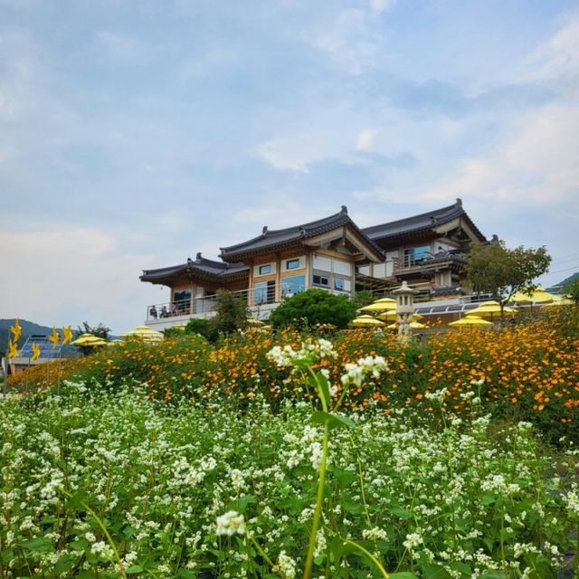 바실라. / 업체등록사진