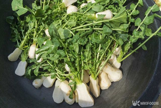 열무 자료사진. / Stock for you-shutterstock.com