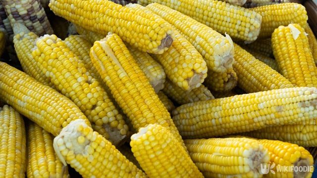 옥수수는 7~9월 여름이 제철이다. / M21Perfect-shutterstock.com