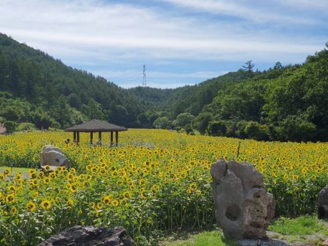 구와우마을. / 대한민국 구석구석