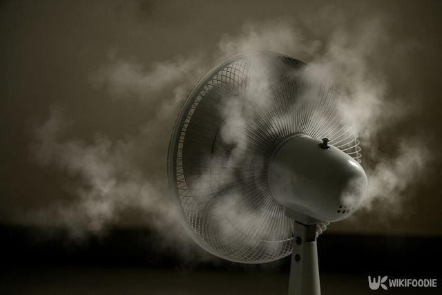 선풍기 모터에서 연기가 나는 모습 / 위키푸디