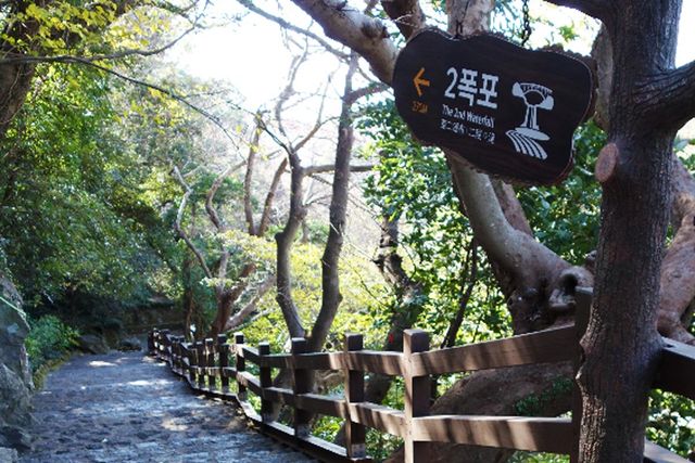 천제연폭포 / 제주관광공사 '비짓제주'