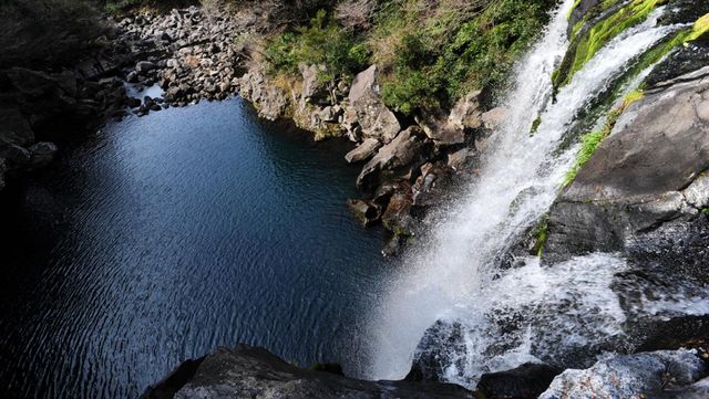 천제연폭포 / 제주관광공사 '비짓제주'