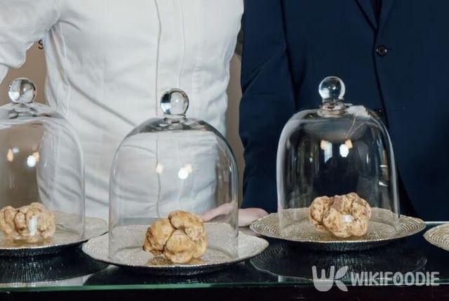 화이트 트러플 사진. / 홍콩 사우스차이나모닝포스트