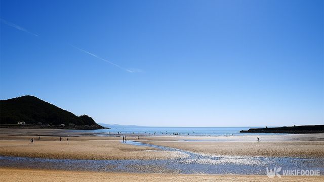 해수욕장 자료 사진. / 위키푸디