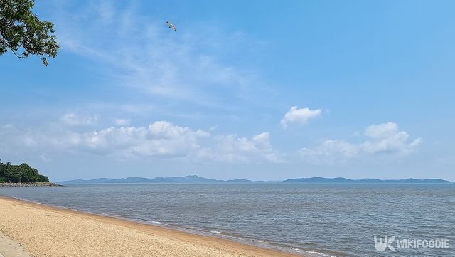 해수욕장 자료 사진. / 위키푸디