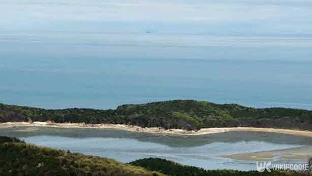 해수욕장 자료 사진. / 위키푸디