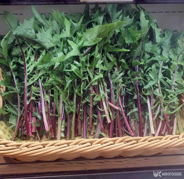 치커리 자료 사진. / 위키푸디