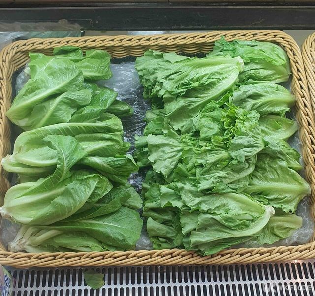 로메인 자료 사진. / 위키푸디