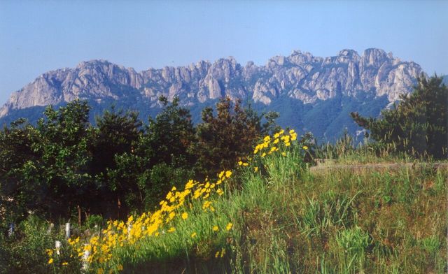 설악산 울산바위 / 고성군