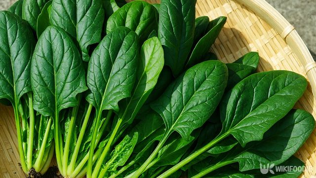 시금치 자료 사진. / 위키푸디