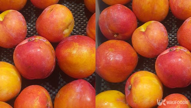 자두 자료 사진. / 위키푸디