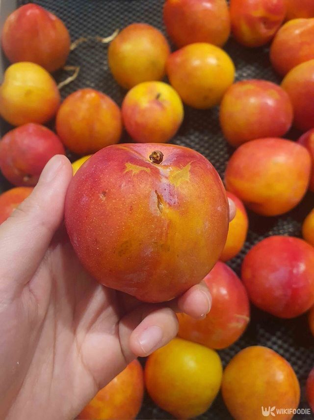 자두 자료 사진. / 위키푸디