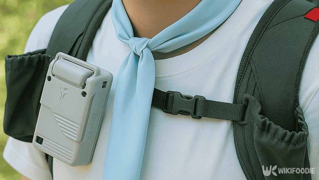 냉스카프를 두른 사진. / 위키푸디