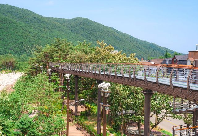 속초 설악향기로 / 한국관광공사