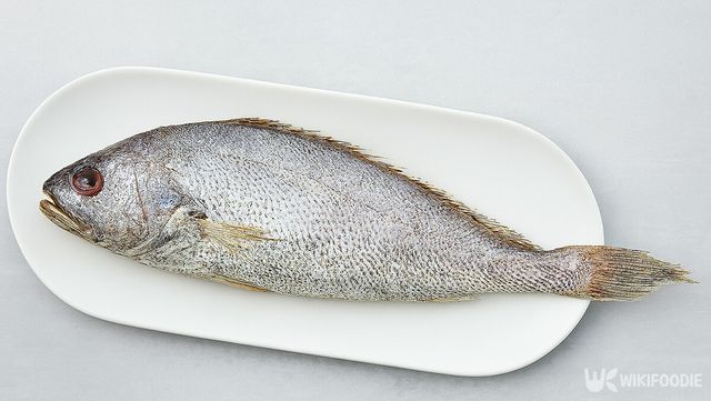 민어 자료 사진. / 위키푸디