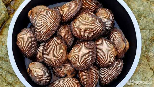 피조개 자료 사진. / 위키푸디