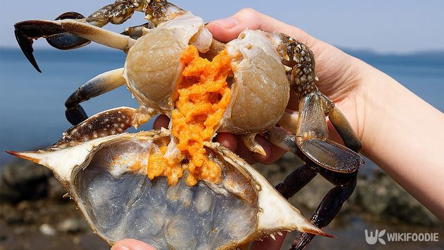 참꽃게 자료 사진. / 위키푸디