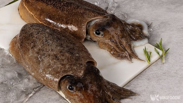 갑오징어 자료 사진. / 위키푸디