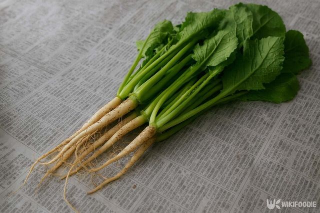 열무 자료 사진. / 위키푸디