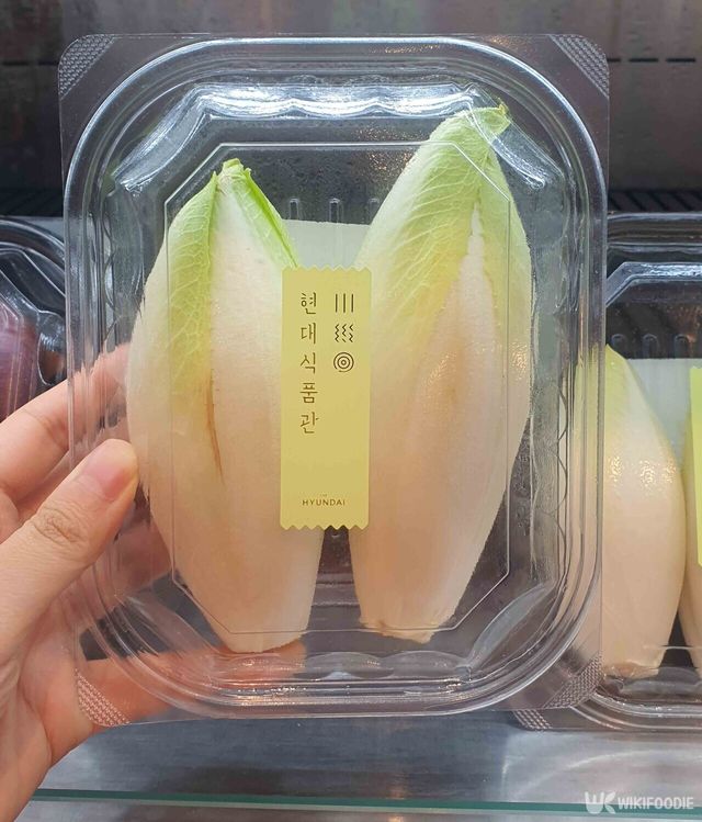 엔다이브 사진. / 위키푸디