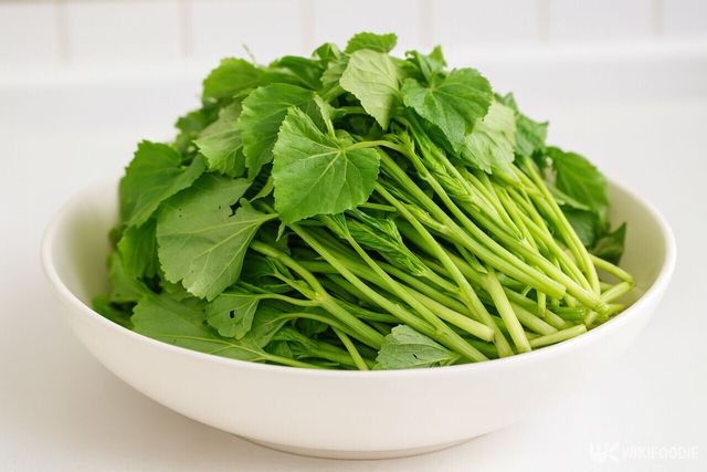 아욱 자료 사진. / 위키푸디