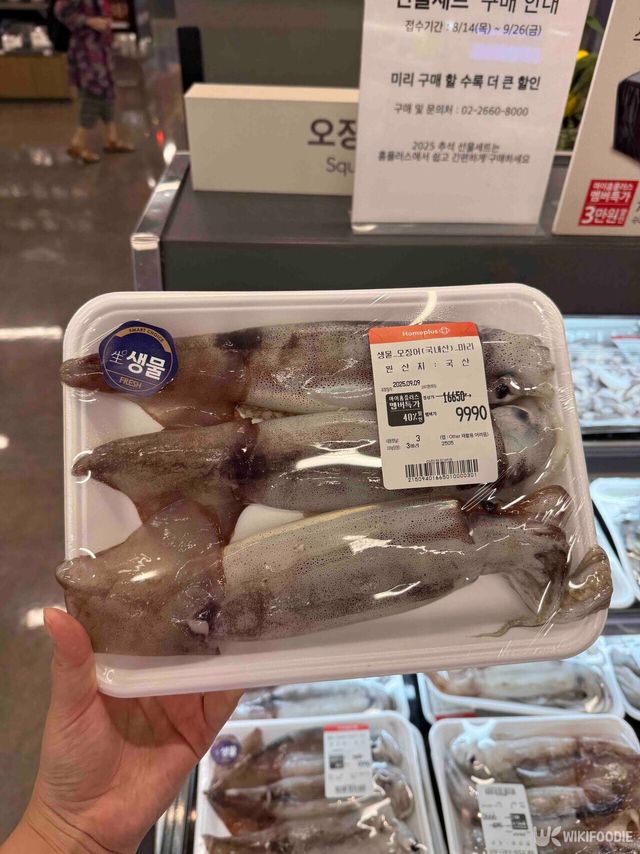 생물 오징어 사진. / 위키푸디