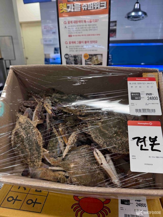 냉수마찰 기절꽃게 사진. / 위키푸디