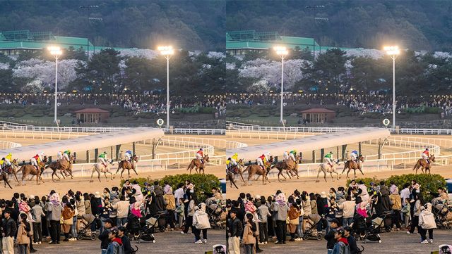 렛츠런파크. / 업체등록사진