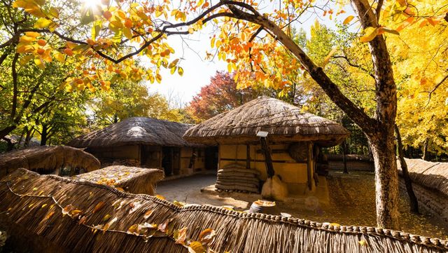 한국민속촌. / 업체등록사진
