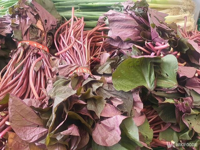 고구마순 자료 사진. / 위키푸디