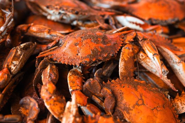 꽃게 자료 사진. / Aspects and Angles-shutterstock.com