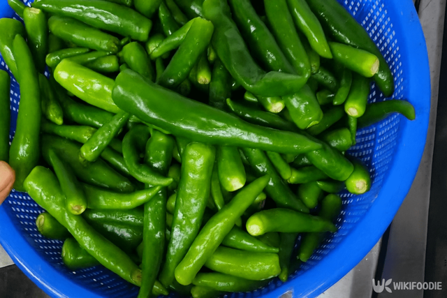 고추 자료 사진. / 위키푸디