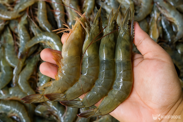 대하 자료 사진. / 위키푸디