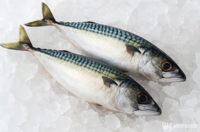 고등어 자료 사진. / 위키푸디