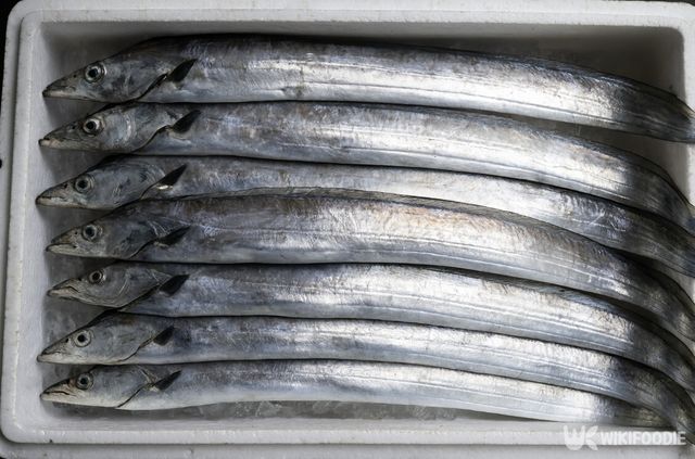 갈치 자료 사진. / 위키푸디