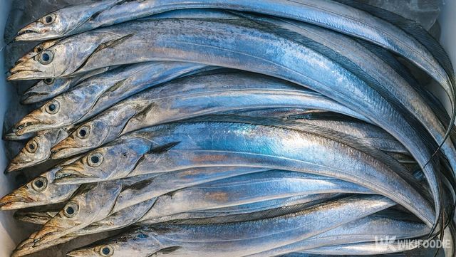 갈치 자료 사진. / 위키푸디