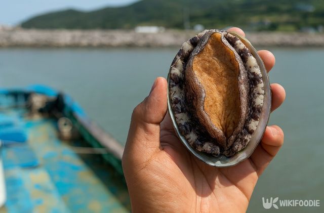 전복 사진. / 위키푸디